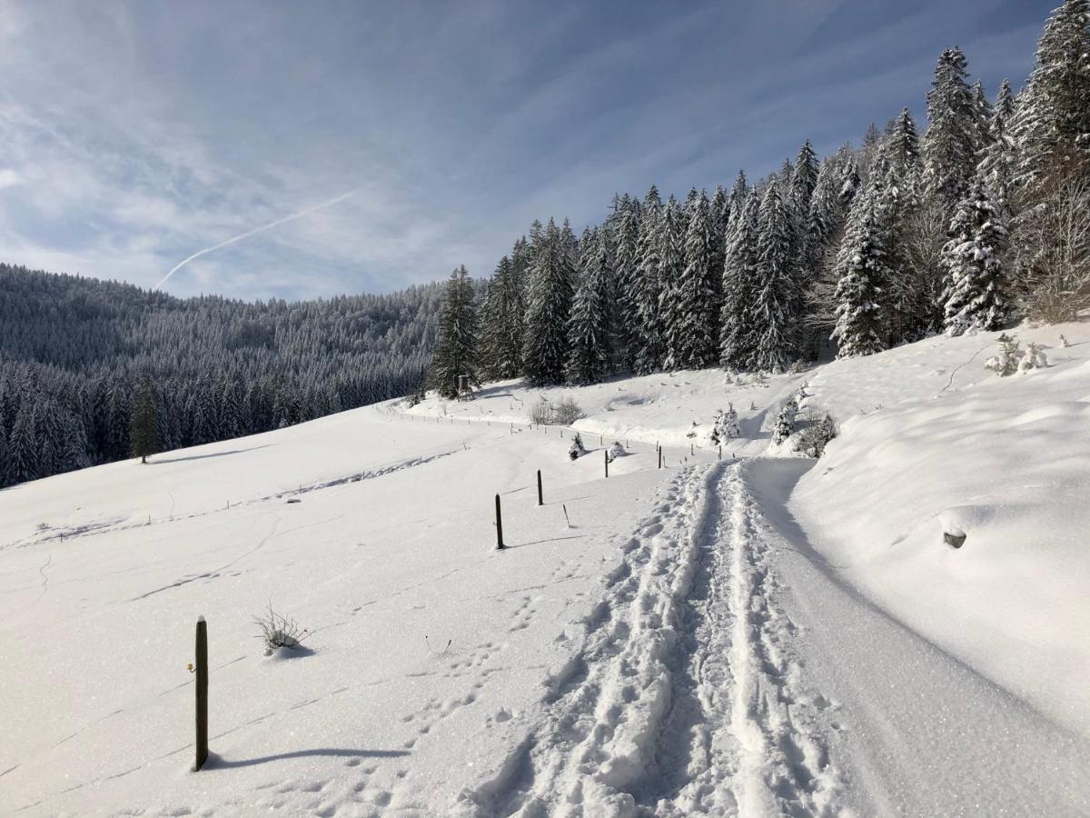 Naturparkhotel Schwarzwaldhaus Bernau im Schwarzwald Luaran gambar