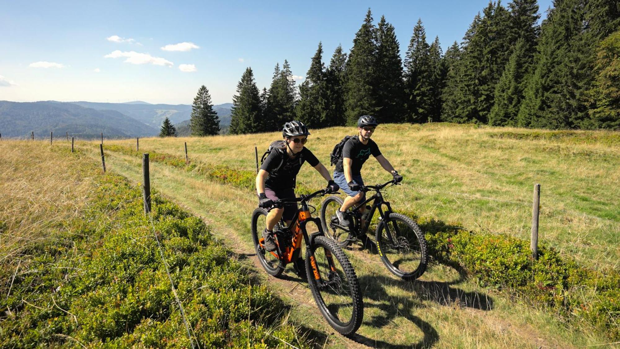 Naturparkhotel Schwarzwaldhaus Bernau im Schwarzwald Luaran gambar