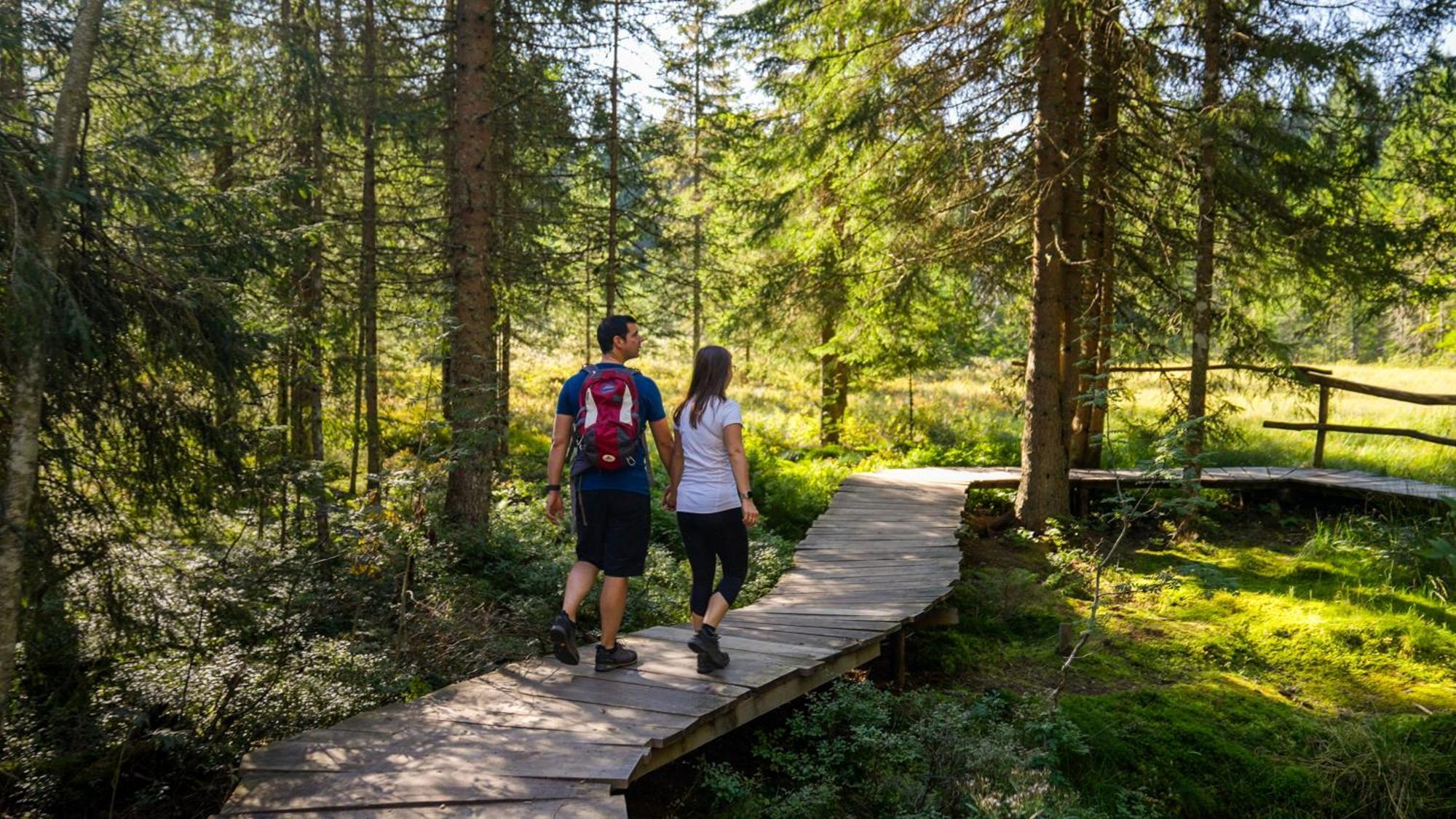 Naturparkhotel Schwarzwaldhaus Bernau im Schwarzwald Luaran gambar